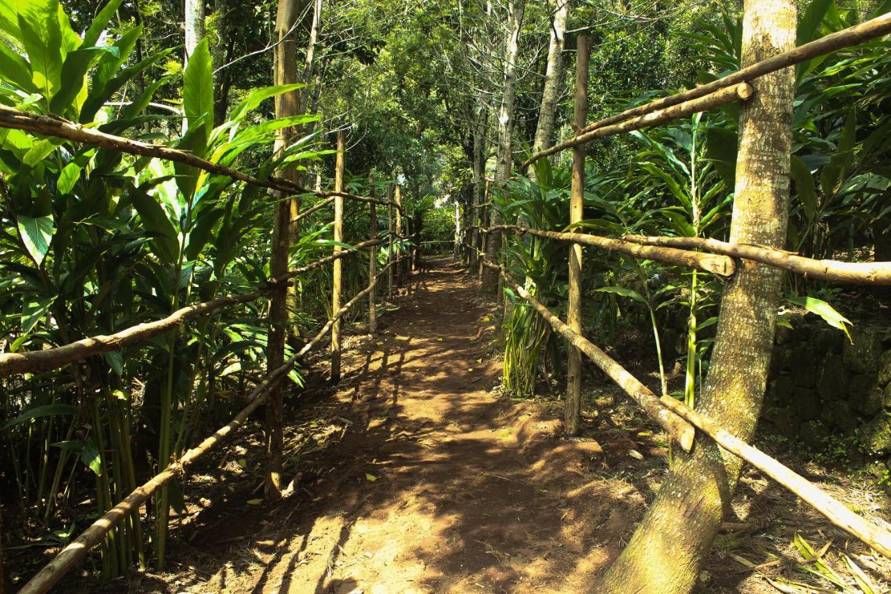 The Siena Village Chinnakanal Luaran gambar